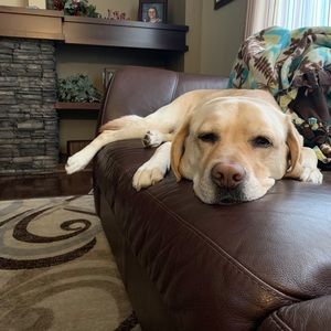 Meet your Posher, Delaney